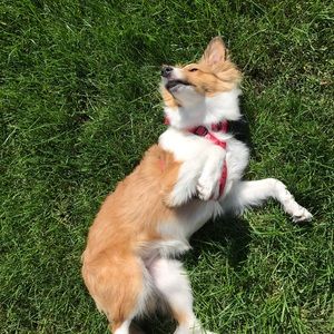 Meet your Posher, Jenna